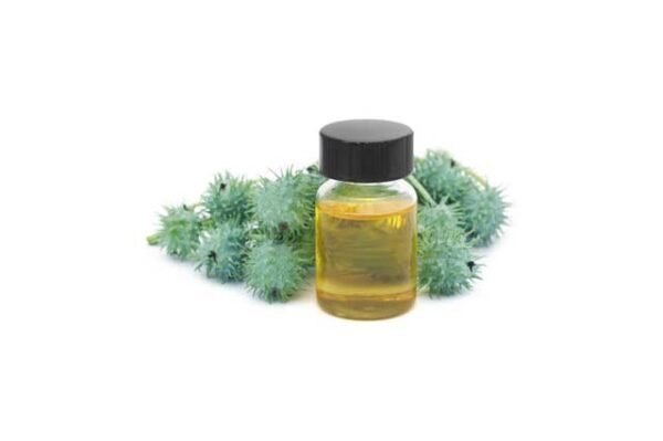 castor oil - buy online at vijayimpex.co.in
