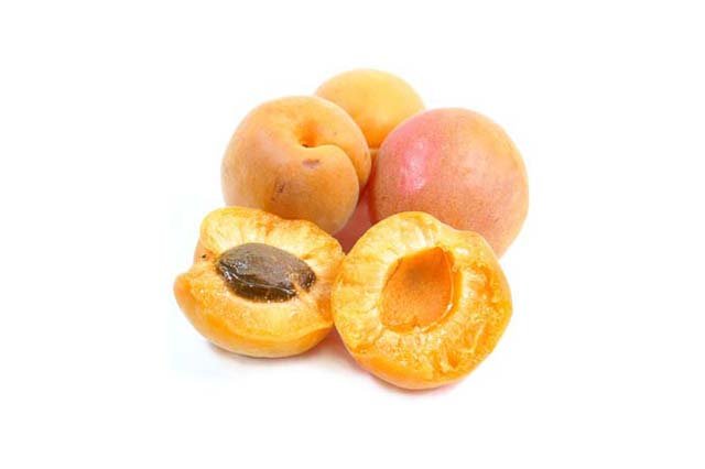 Apricot Kernel oil - buy online at vijayimpex.co.in