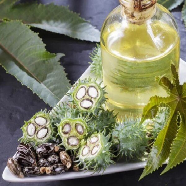 Castor VI Castor Oil