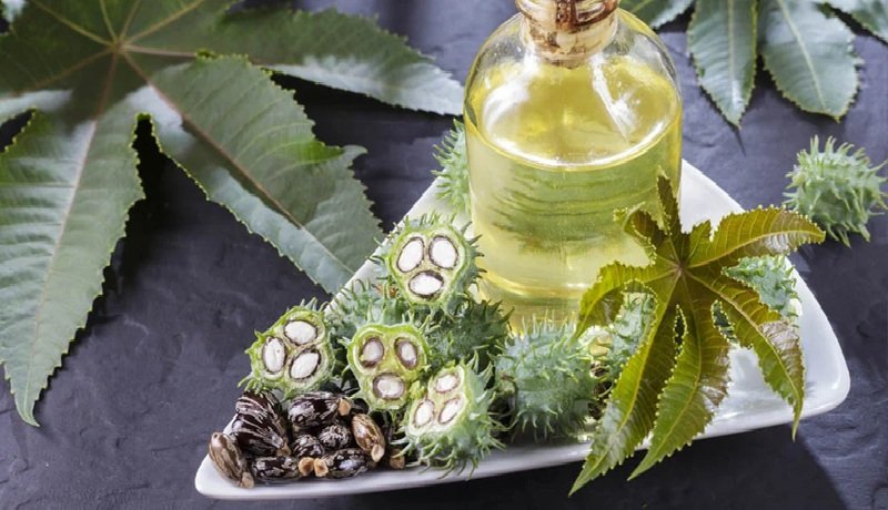 Castor Oil