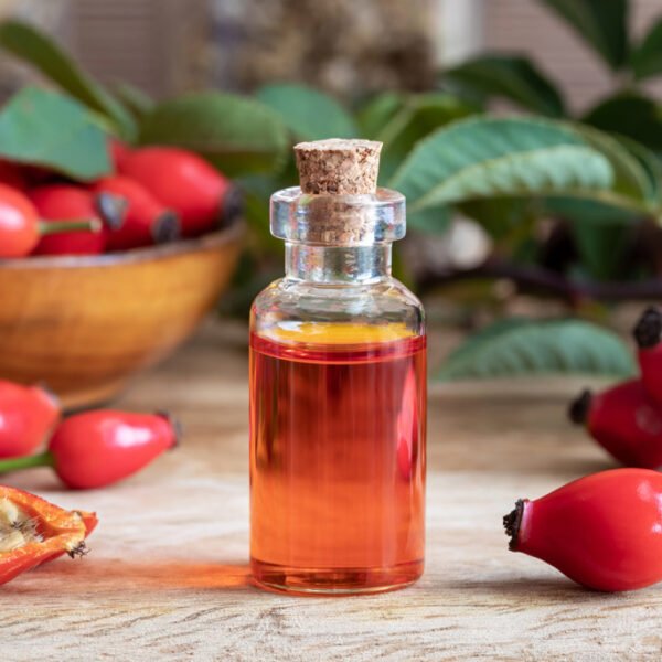 A bottle of rosehip seed oil with fresh rosehips A bottle of rosehip seed oil with fresh plant