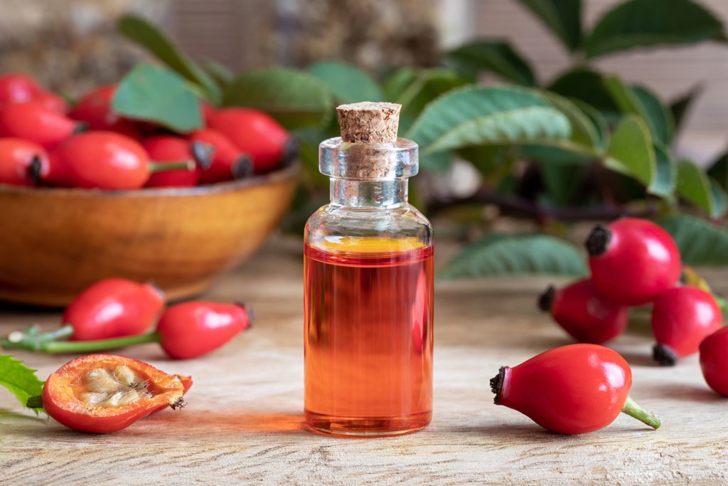 A bottle of rosehip seed oil with fresh plant