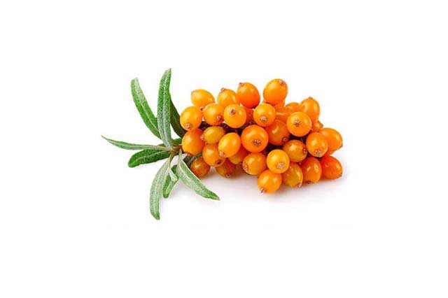 Seabuckthorn Oil