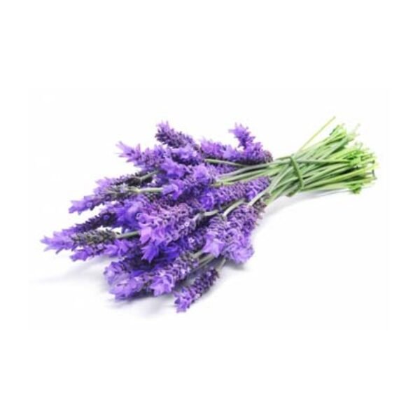 Lavender CP Stable Fragrance Oil