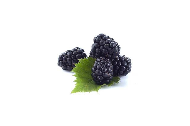 Blackberry Extract Liquid Form - Water Soluble