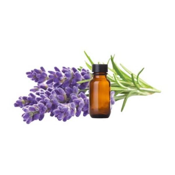 English Lavender Fragrance Oil