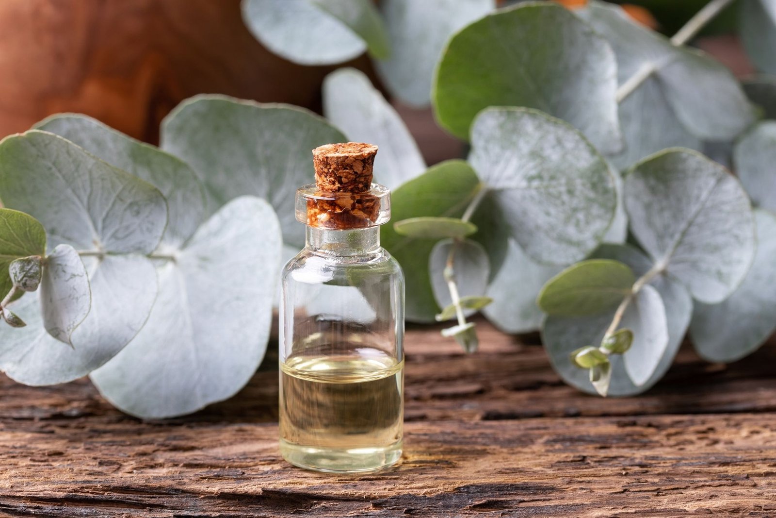 Eucalyptus VI Eucalyptus Essential Oil - US FDA / Kosher / Halal Certified / ISO 22000:2018 Certified