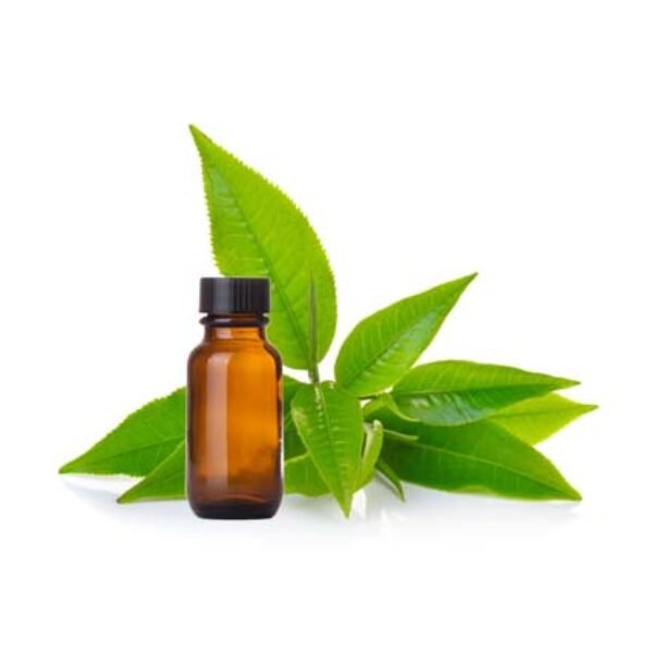 Green Tea Fragrance Oil