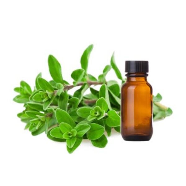 Marjoram Essential Oil