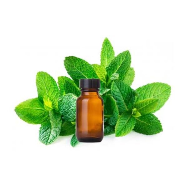 Spearmint Essential Oil