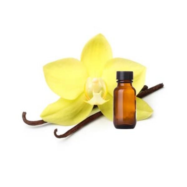 Sweet Vanilla Fragrance Oil