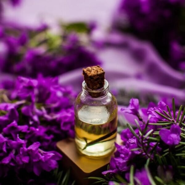 Lavender Essential Oil - US FDA / Kosher / Halal Certified / ISO 22000:2018 Certified
