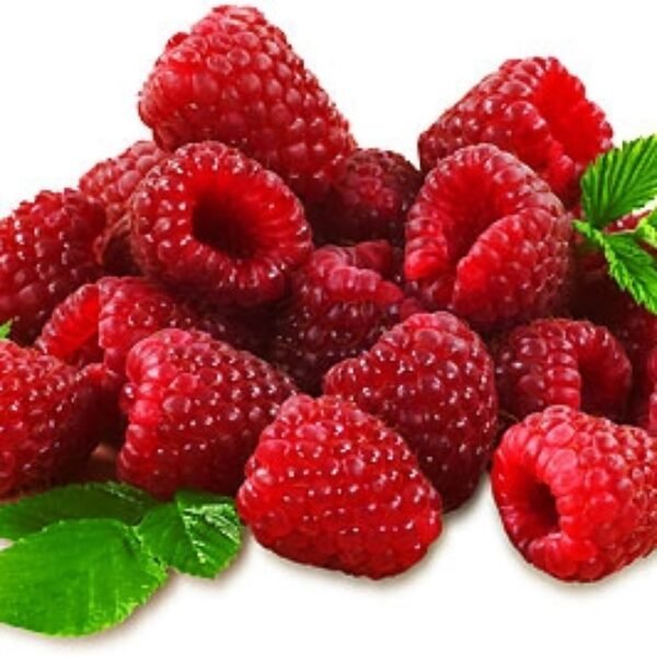 Premium Raspberry Lip Flavoring Oil