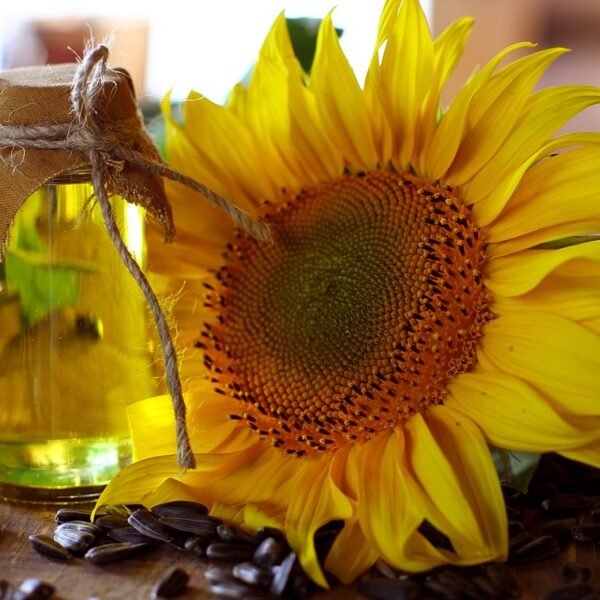 CP Stable Premium FO - LUZ BOTANICAL SUNFLOWER - FRENCH FRAGRANCE