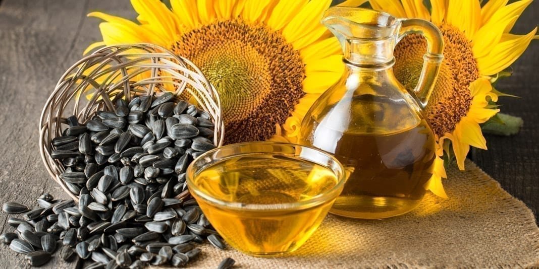 Sunflower Oil | Vijay Impex