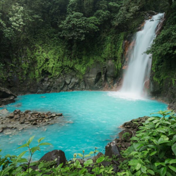 A triopical waterfall of Rio Celeste in National Park Tenorio Volcano - Costa Rica