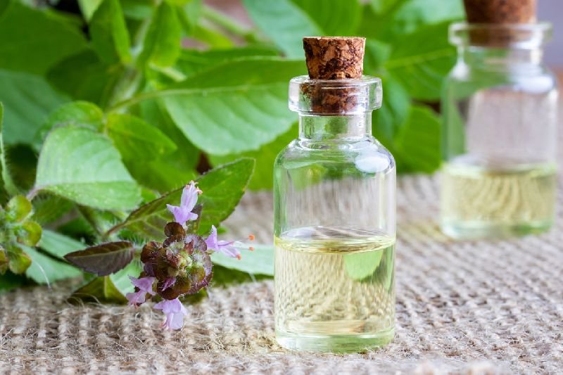 Tulsi (Holy Basil) Essential Oil