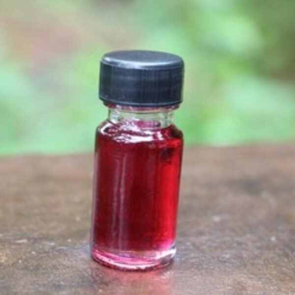 Wintergreen Essential Oil