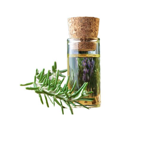 Rosemary CP Stable Fragrance Oil
