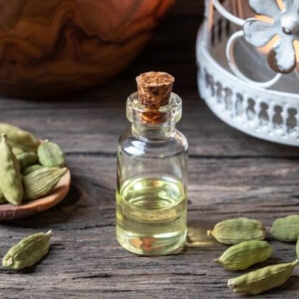 Cardamom Essential Oil