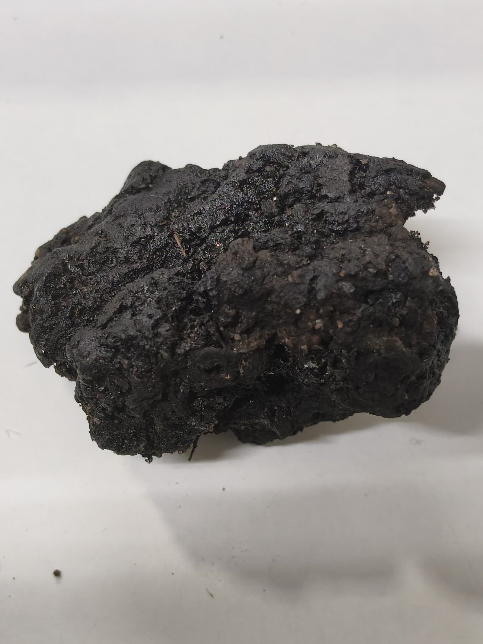Original Back Turmeric